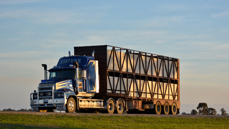 202312291622171375.png e91a6b2dd253b2260d848cc24836c4a.png